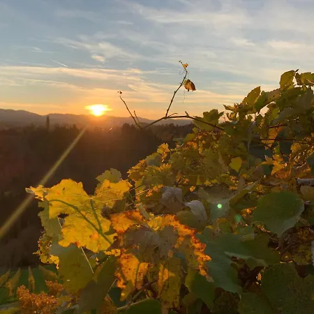 Weingartenblick - Glanzerhof Apartmán