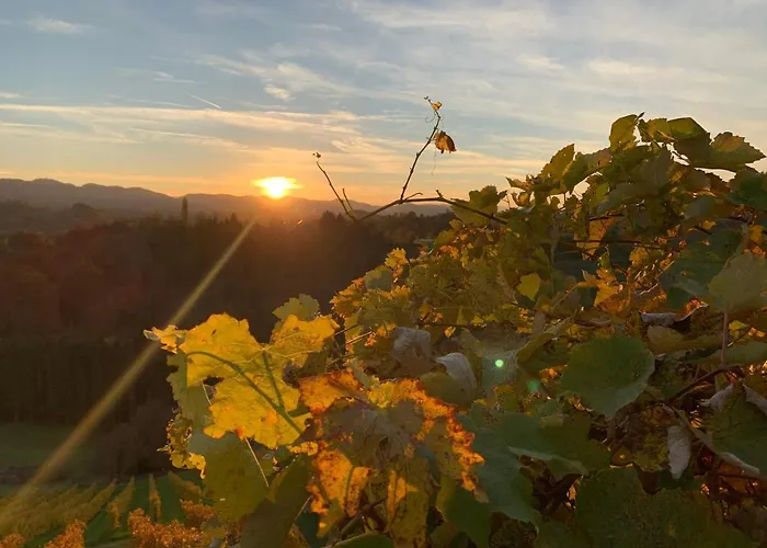 Weingartenblick - Glanzerhof Apartamento